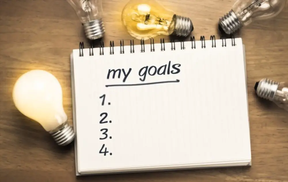 define your goals to succees in your professional career