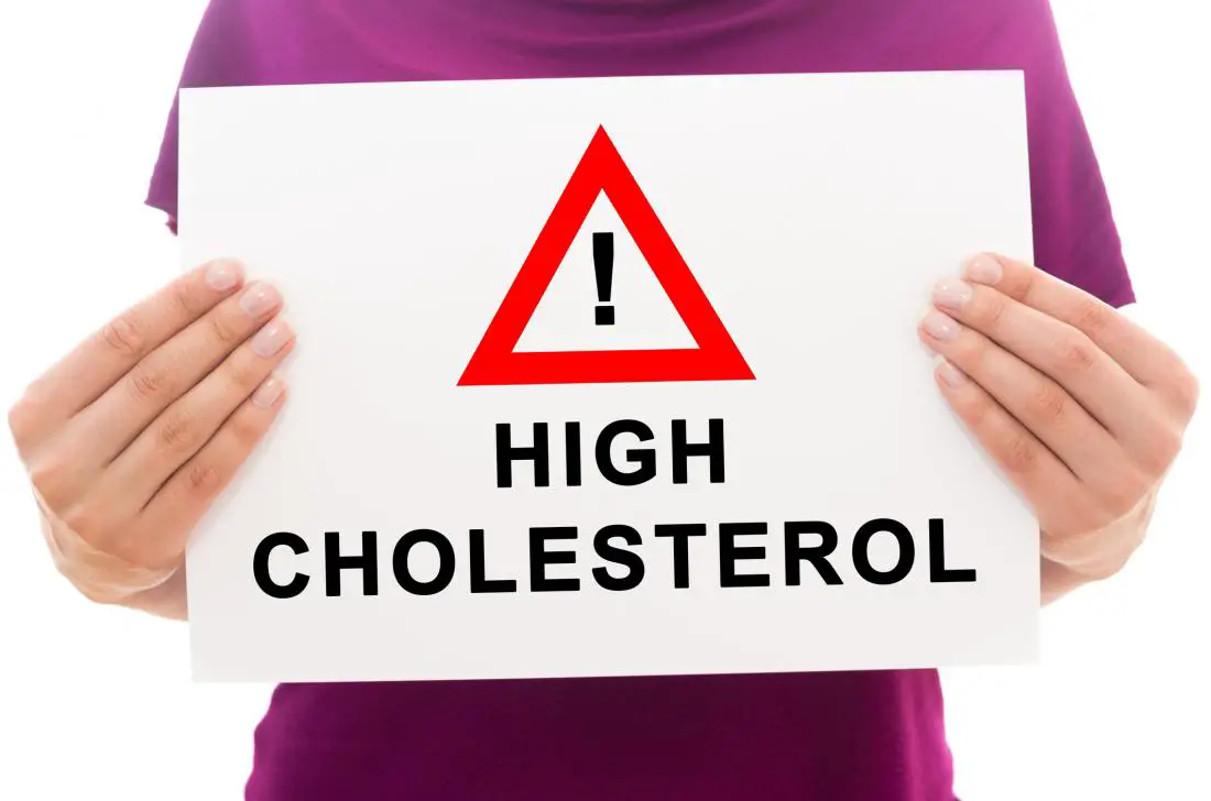understanding cholesterol